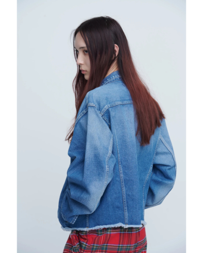 アンスクリア　INSCRIRE シャギージャケット アンスクリア INSCRIRE シャギージャケット