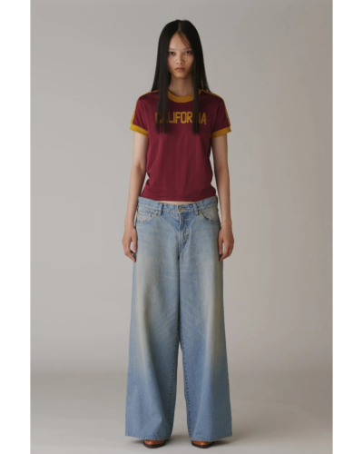 INSCRIRE（アンスクリア) IC261DAIDPT53 Used Denim Baggy Pantsの通販