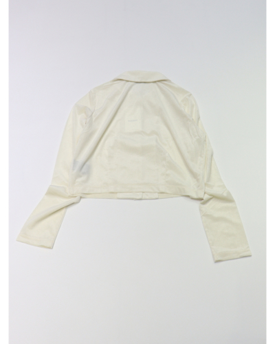 PHEENY（フィーニー）PA25-CS16 Sheer velour shirtの通販 - BOOMERANG