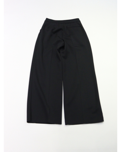 PHEENY（フィーニー）PA25-PT01 Amunzen 2 tuck wide pantsの通販