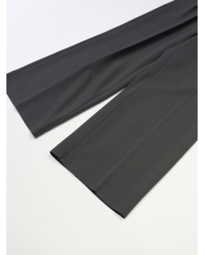 PHEENY（フィーニー）PA25-PT01 Amunzen 2 tuck wide pantsの通販