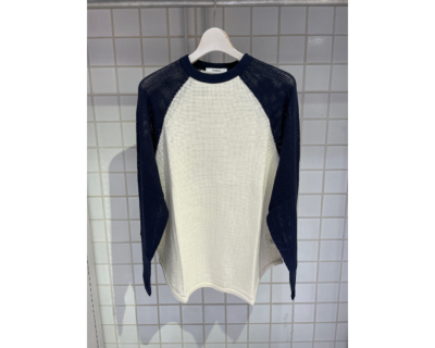 �J���[�o���G�[�V����