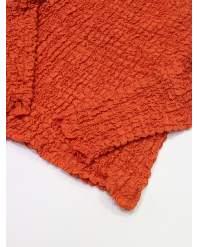 PHEENY（フィーニー)PS26-CS19 Shrink Lace Frill Topの通販 - BOOMERANG