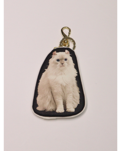 �J���[�o���G�[�V����