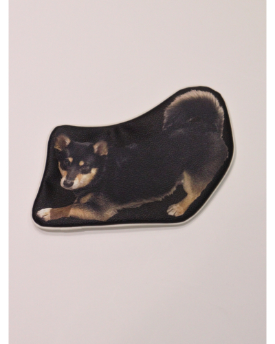 �J���[�o���G�[�V����