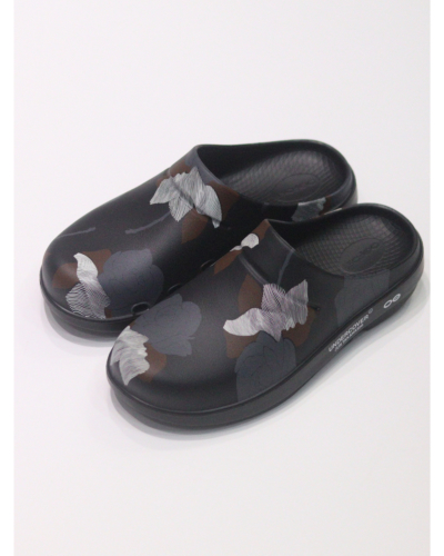 �J���[�o���G�[�V����