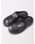 �J���[�o���G�[�V����